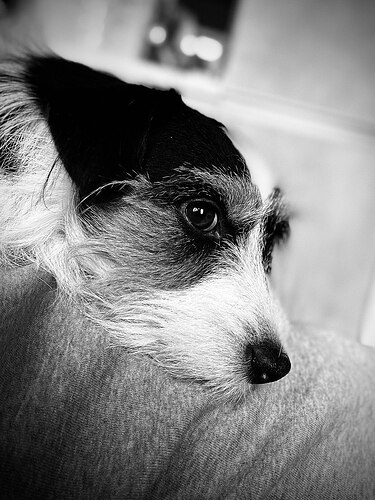 photo_2025-12-27_13-57-19