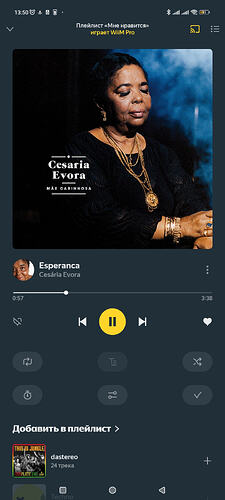 Screenshot_2026-02-13-13-50-36-360_ru.yandex.music