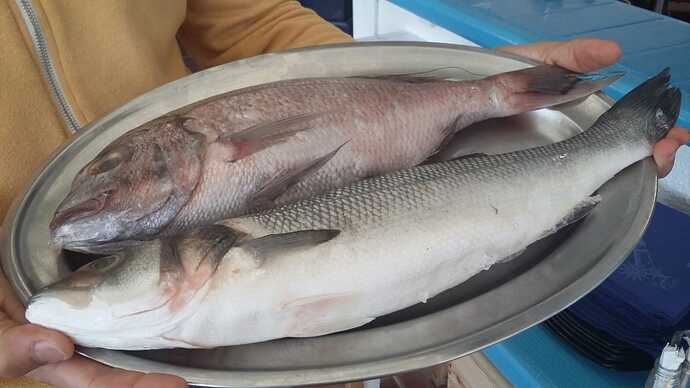 IMG-20250223-WA0025