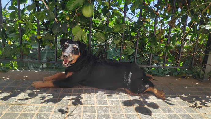 SAVE_20250817_201139