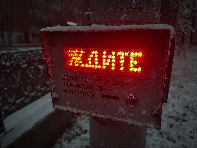 5274083878459532938