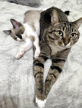 photo_2025-11-01_20-45-36