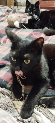 photo_2026-01-26_17-58-11 (2)