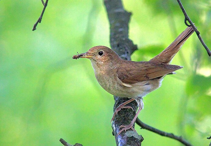 photo_2025-06-17_23-07-48