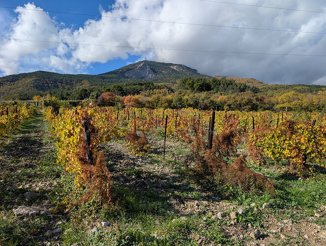 PXL_20251026_102319342