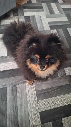 4e7da36d-38de-4c2d-a03d-ff6232cd9a39