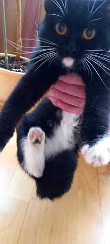 IMG-20250616-WA0015