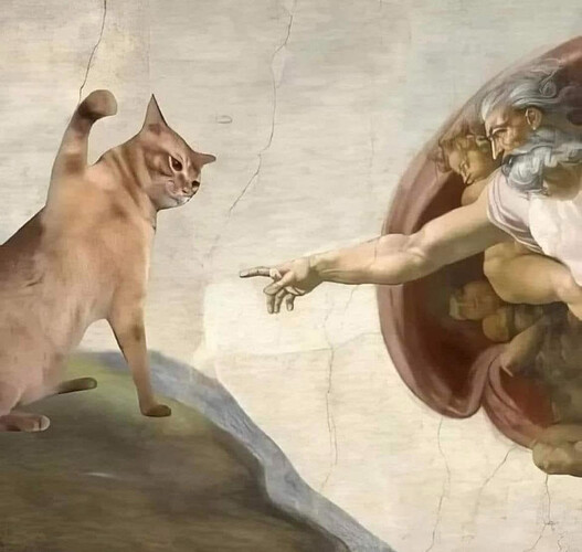 Genuine Michelangelo