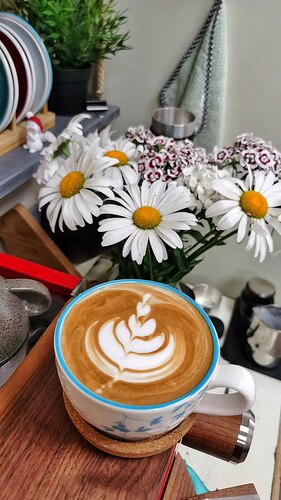 IMAGE 2024-05-30 13:16:21