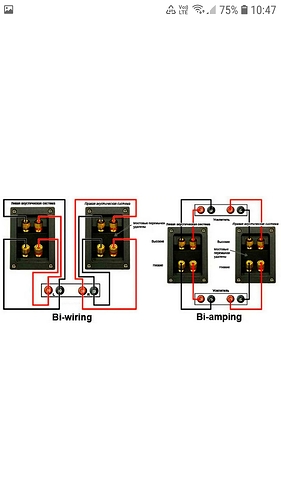 Screenshot_20260301-104741_Samsung Internet