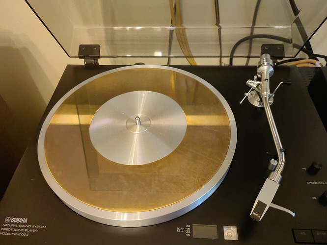 17317512965003470372305890961756