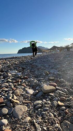 IMG_20250827_164021_216