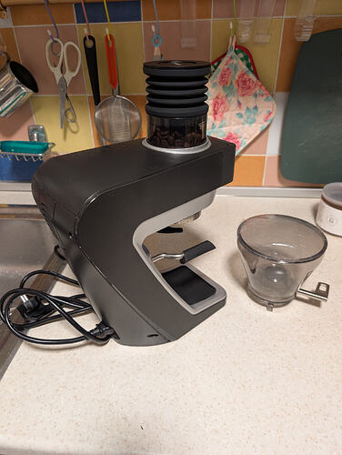 PXL_20260123_175315976