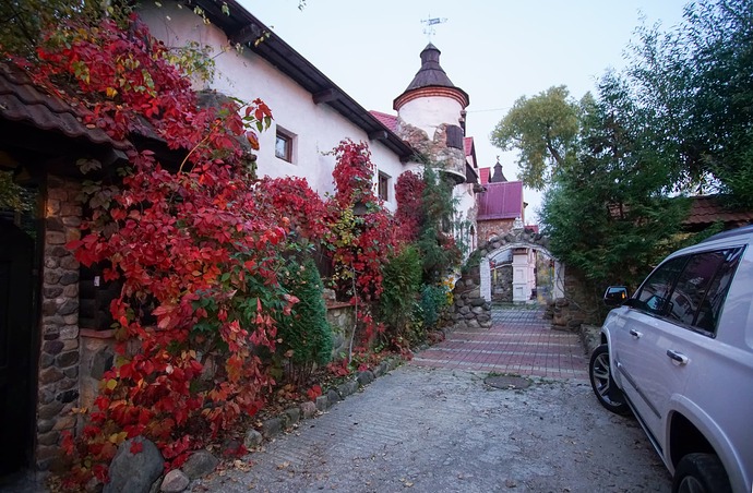 DSC00003