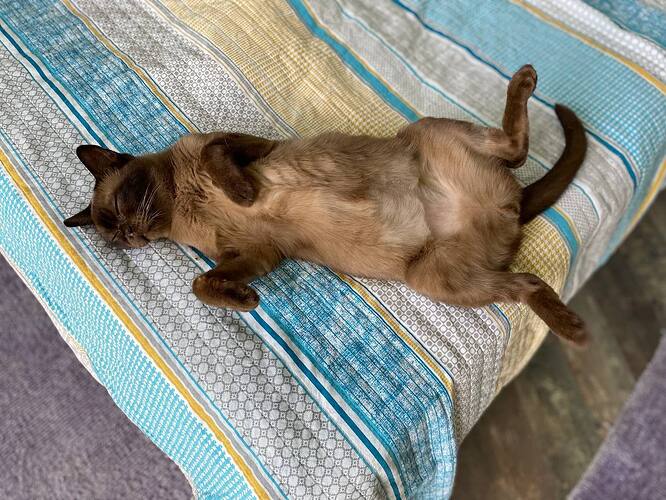 photo_2024-06-30_17-17-38