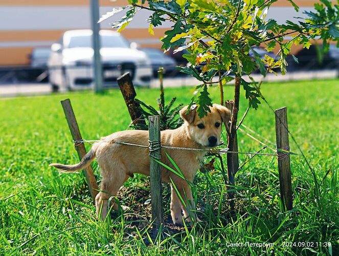 IMG_20250106_043604_930