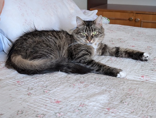 PXL_20240629_102143622