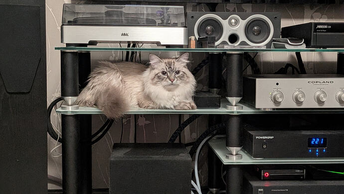 PXL_20260301_215843550.PORTRAIT.ORIGINAL