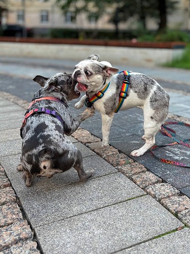 photo_2025-08-11_16-57-59