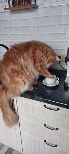 IMG-20250312-WA0010