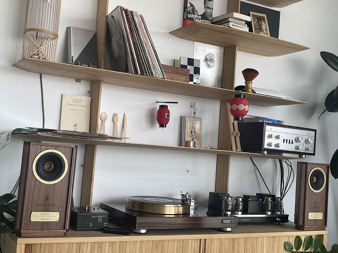 358449393_6683088128392096_8788741988721433187_n