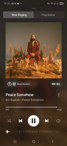 11 Screenshot_20260126_183626_BluOS