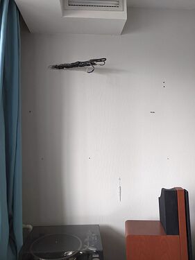 PXL_20240411_064933446