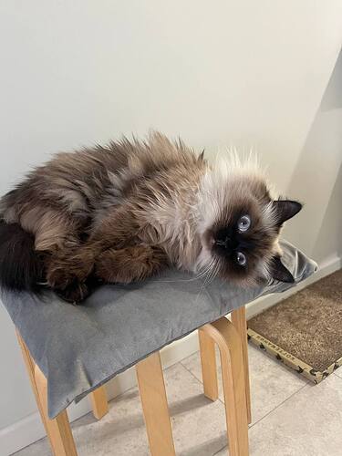 photo_2025-12-30_13-44-57