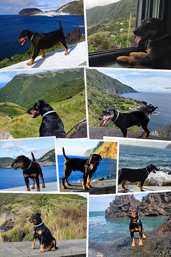 SAVE_20250409_233358