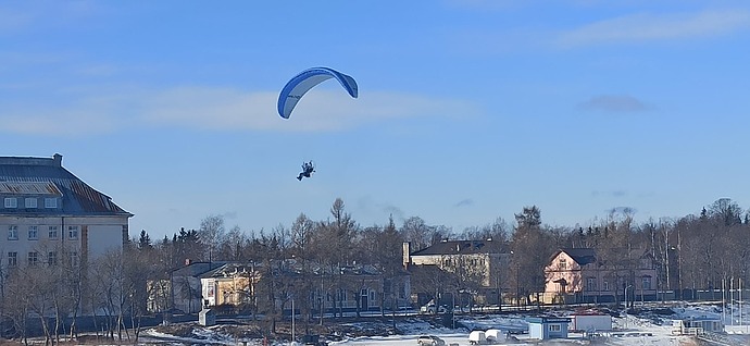 IMG_20250312_111243