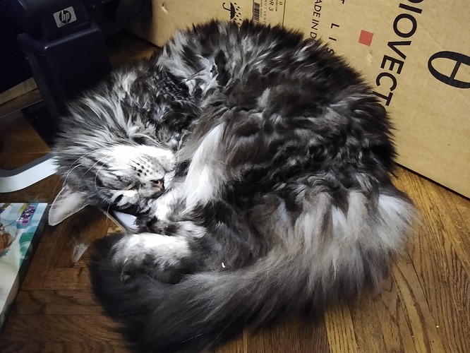 IMG_20230128_201739006