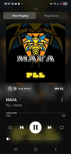 10 Screenshot_20260126_183138_BluOS