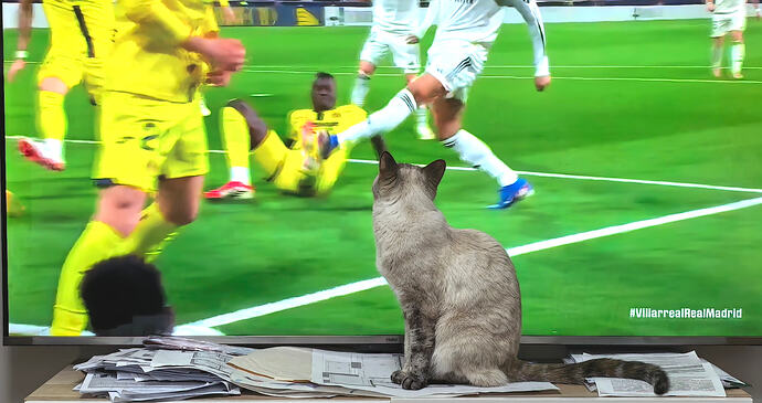 IMG_20260125_000834_edit_1311811430761124