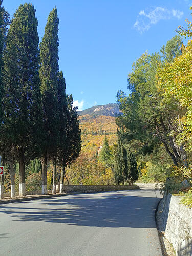 IMG_20251025_104952_331