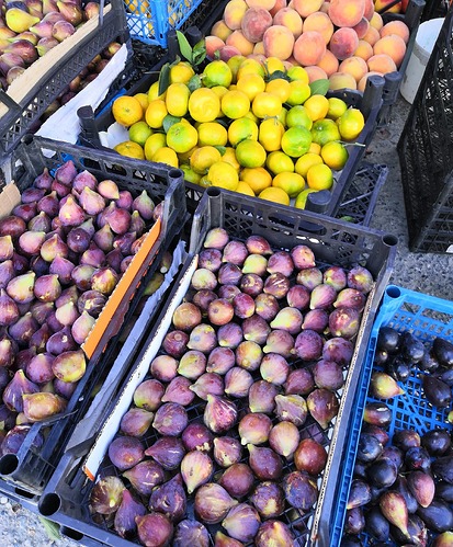 IMG_20230916_134223_edit_349857396096615