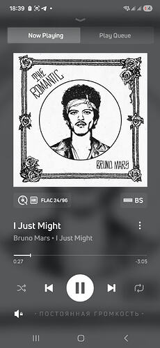 06 Screenshot_20260125_183908_BluOS