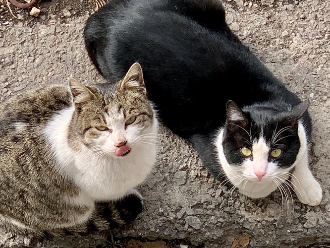 camphoto_1903590565 2