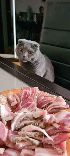 IMG-20230129-WA0007