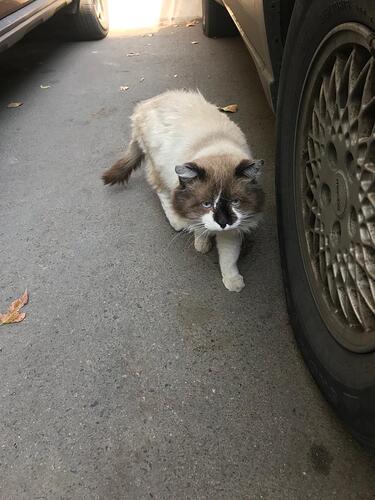 WhatsApp Image 2023-02-01 at 22.02.53 (2)