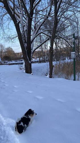 photo_2026-01-01_15-26-59