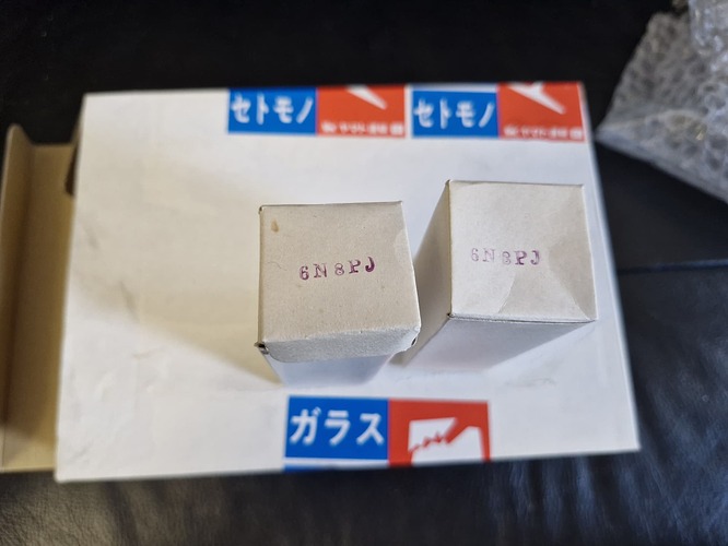 6n8p1