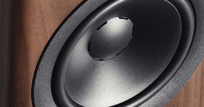 dynaudio_evoke_10_walnut_wood_02