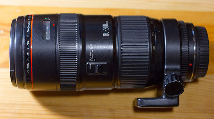 Canon EF80-200 2.8L_MG_9918