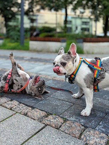 photo_2025-08-11_16-58-03