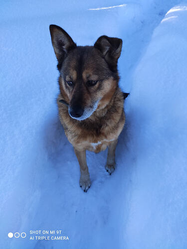 pY9o7Md4lF8oCvqBBfaxkLM9BDkMfJW-rSIr8R8fT6m3NFGQIHWZpJsxKtbwTV4-SDRgapDP3LbZYf9hPhNh9jUd