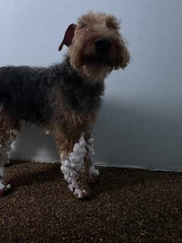 8262515E-311F-4A64-BF3B-3BC603359F61_1_105_c