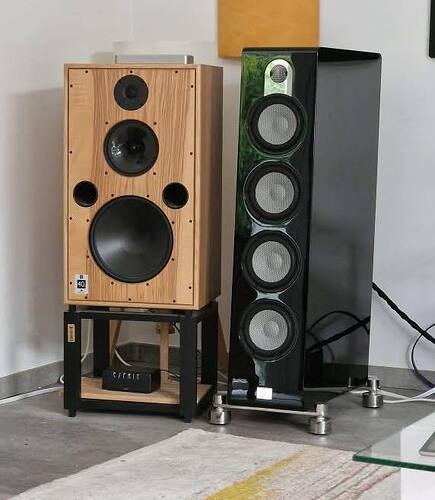 amiciaudiofiliitaliani_3816169490720047090