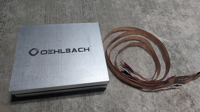 IMG_20251103_204807_235