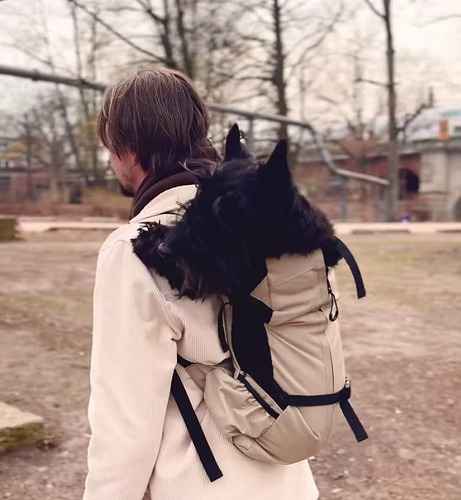 Screenshot_2025-03-25-01-56-40-323_com.google.android.apps.photos-edit