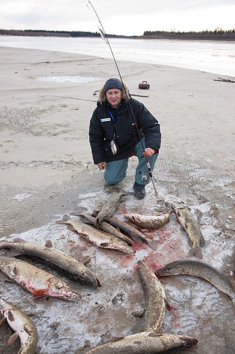 0_d341c_d213f3f8_orig